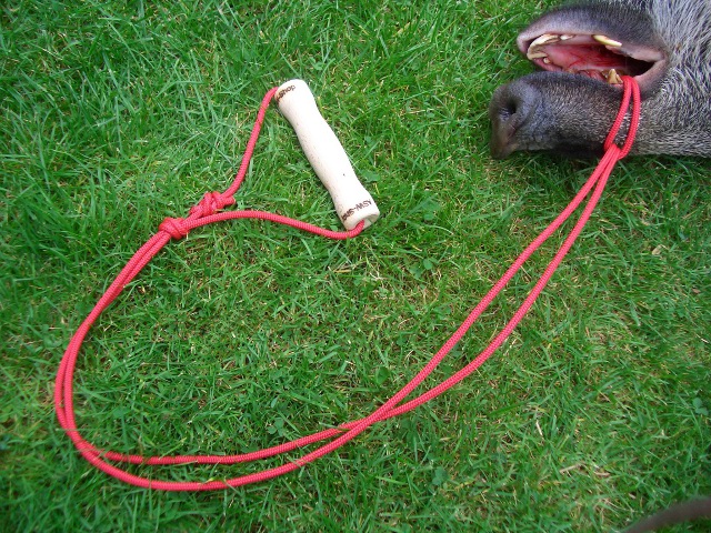 ASW Artikel Wildbergehilfe Bock mit Holzgriff. Mind. 500 kg