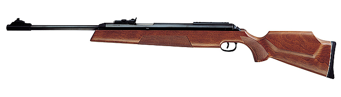 LG Mod.54 DIANA AIRKING 4,5mm rückstoßf. F