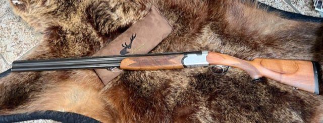 Kommissionen BDFL SAUER BERETTA Imperial 12/70  Einabzug